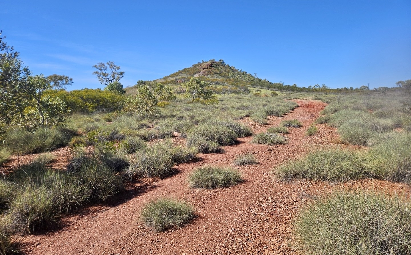 Westminster Project site, Tennant Creek Mineral Field